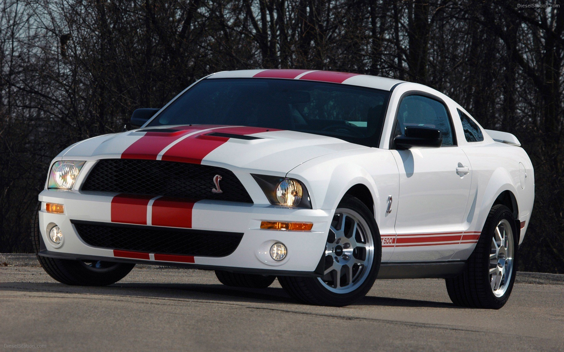 Ford Shelby Cobra GT500 Red Stripe